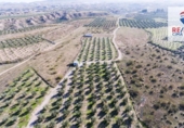 Terreno no urbanizable en venta en la España, Freila, ref: TR198563 foto