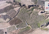 Terreno no urbanizable en venta en la España, Freila, ref: TR198563 foto