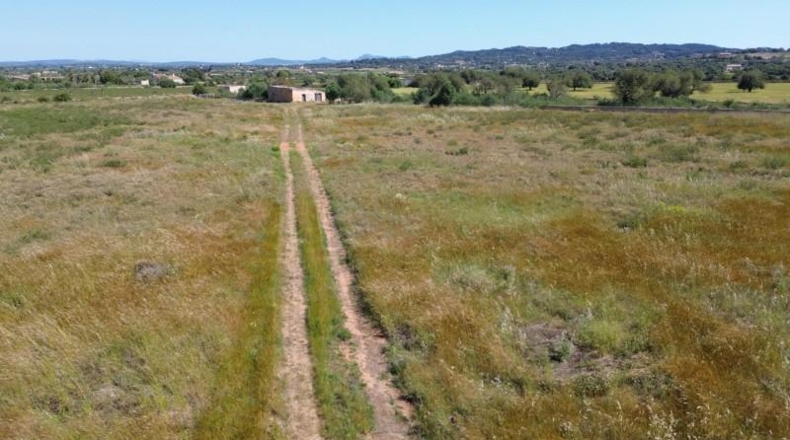 Islas Baleares - Felanitx - 21710m2