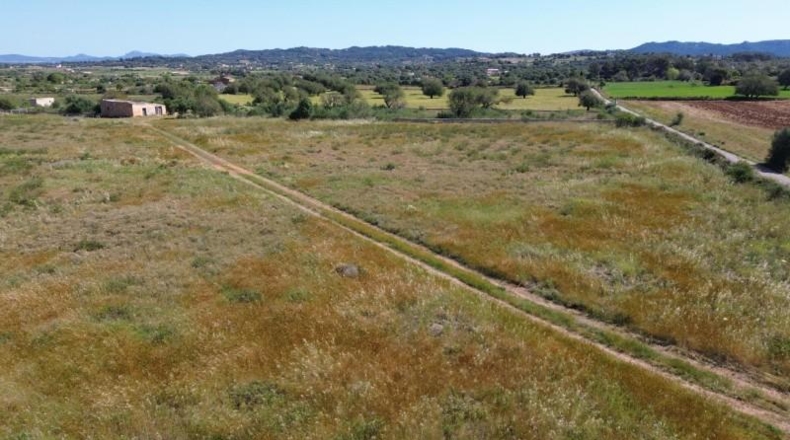 Islas Baleares - Felanitx - 21710m2