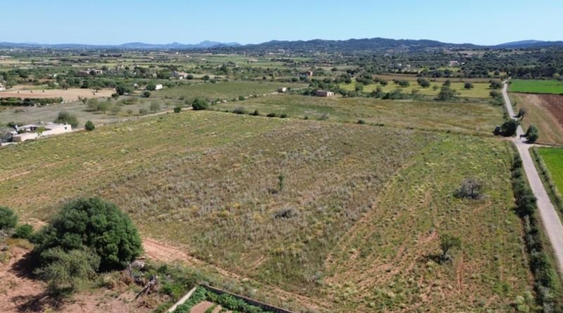 Islas Baleares - Felanitx - 21710m2