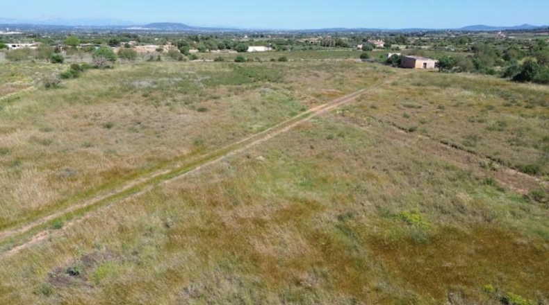 Islas Baleares - Felanitx - 21710m2