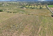 Terreno no urbanizable en venta en la España, Felanitx, ref: TR408879 foto