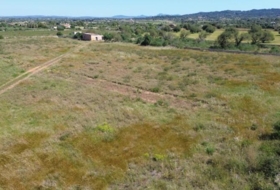 Felanitx 21710&nbsp;m²