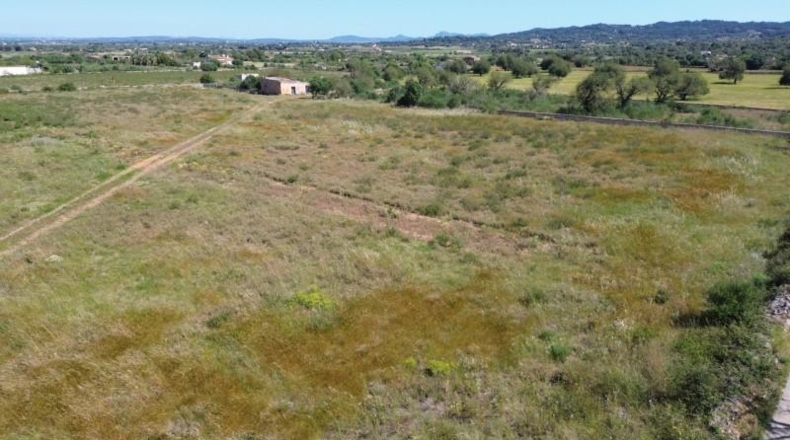 Islas Baleares - Felanitx - 21710m2