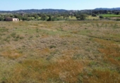 Terreno no urbanizable en venta en la España, Felanitx, ref: TR408879 foto