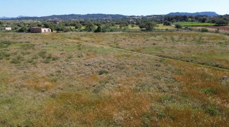 Islas Baleares - Felanitx - 21710m2
