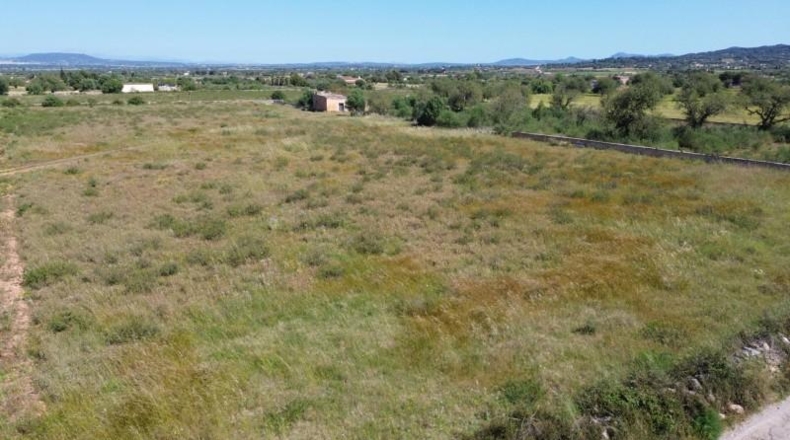 Islas Baleares - Felanitx - 21710m2