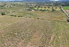 Felanitx 21710&nbsp;m²