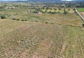 Terreno no urbanizable en venta en la España, Felanitx, ref: TR408879 foto