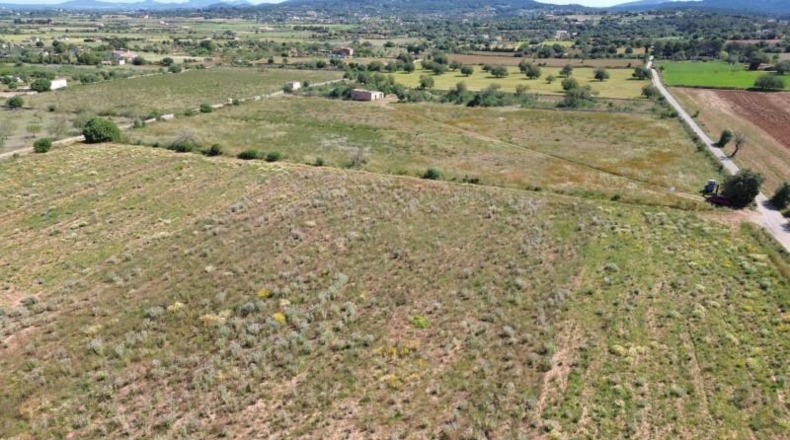 Islas Baleares - Felanitx - 21710m2