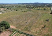 Terreno no urbanizable en venta en la España, Felanitx, ref: TR408879 foto
