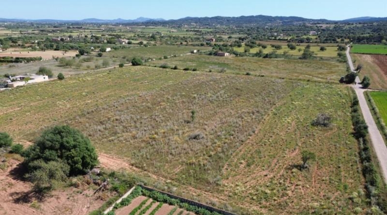 Islas Baleares - Felanitx - 21710m2
