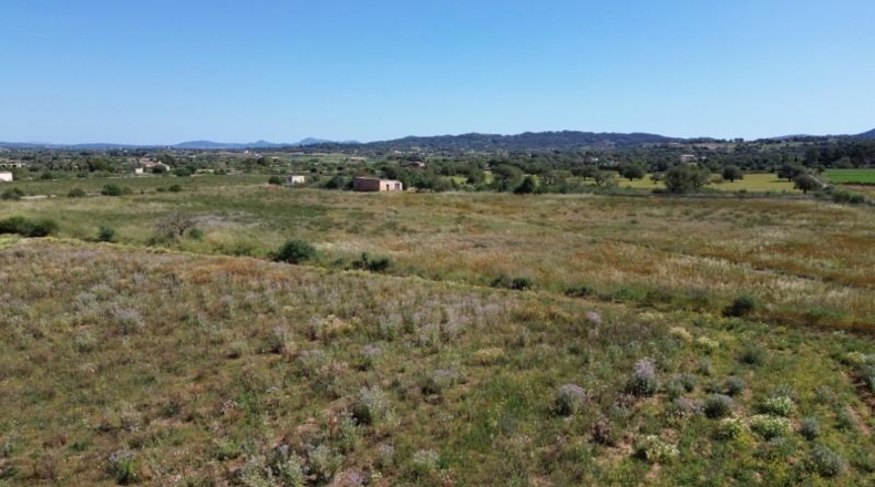 Islas Baleares - Felanitx - 21710m2