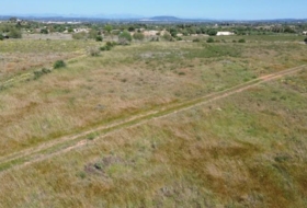 Felanitx 21710&nbsp;m²