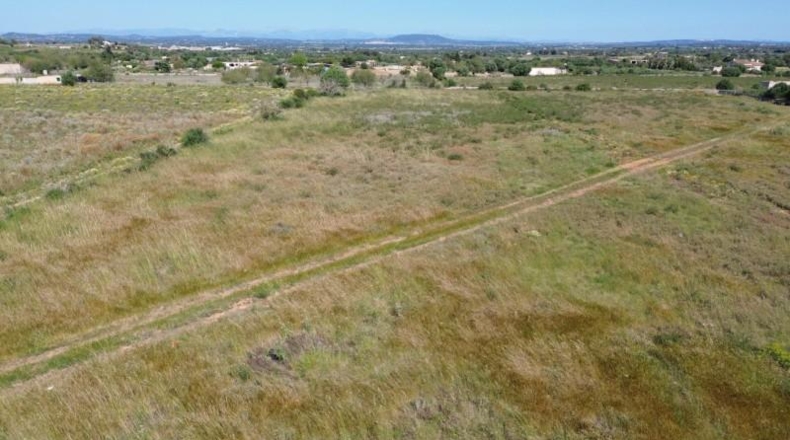 Islas Baleares - Felanitx - 21710m2