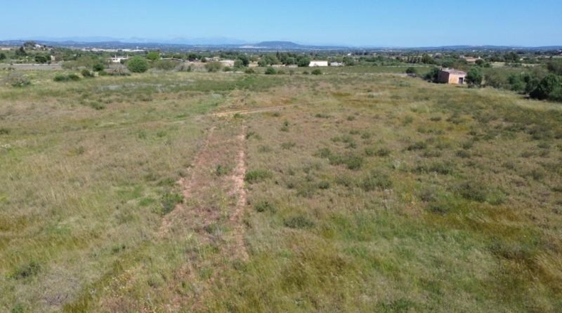 Islas Baleares - Felanitx - 21710m2