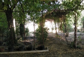Foto 15