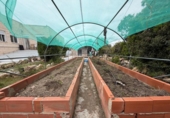 Chalet independiente con terreno en venta en la España, Villar del Arzobispo, ref: TR411521 foto
