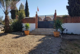 Foto 13