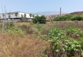 Terreno no urbanizable en venta en la España, Motril, ref: TR166757 foto