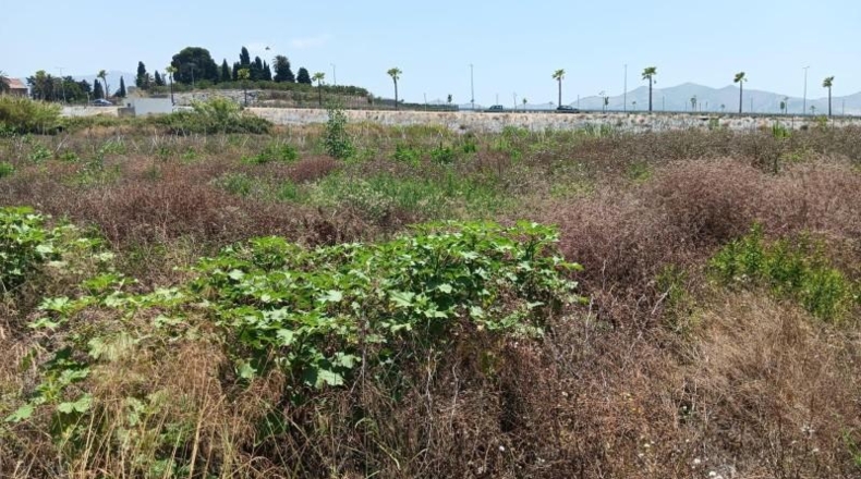 Granada - Motril - 5280m2