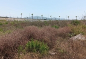 Terreno no urbanizable en venta en la España, Motril, ref: TR166757 foto