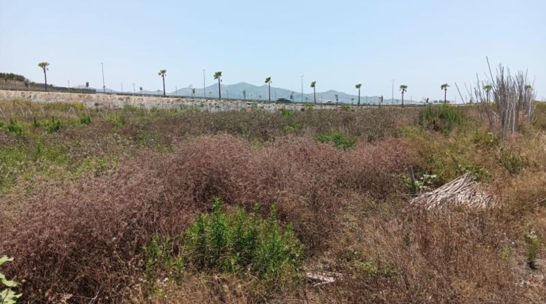 Granada - Motril - 5280m2