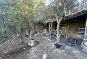 Foto 13