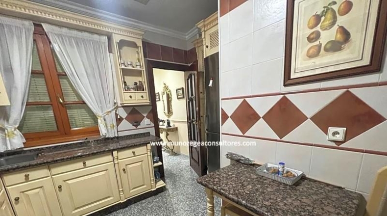 Córdoba - Lucena - 240m2