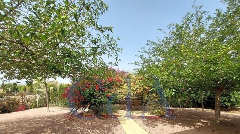 Alicante - Alicante - 2950m2