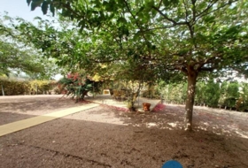 Foto 13