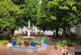 Foto 11