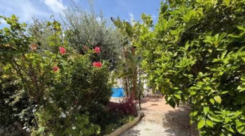 Таррагона - Sant Jaume dels Domenys - 283m2