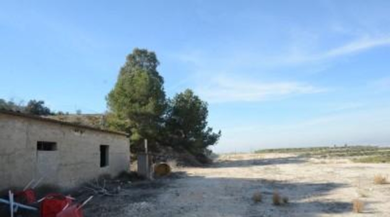 Alicante - Orihuela - 115000m2