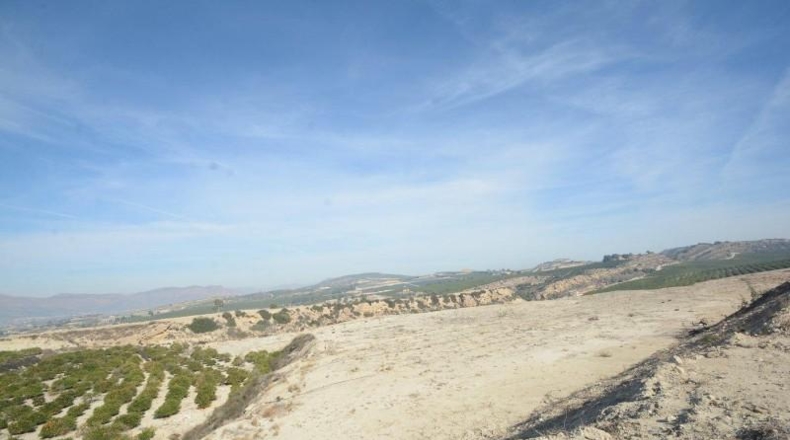 Alicante - Orihuela - 115000m2