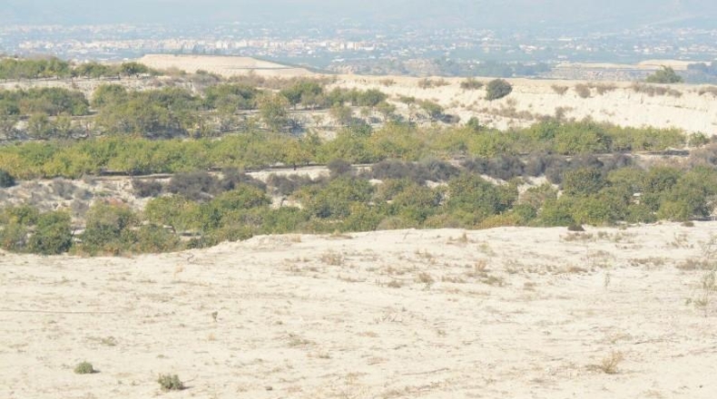 Alicante - Orihuela - 115000m2