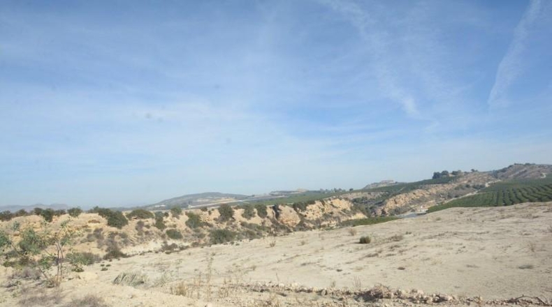 Alicante - Orihuela - 115000m2