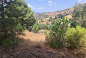Campo-Mijas 1555&nbsp;m²