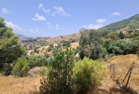 Campo-Mijas 1555&nbsp;m²