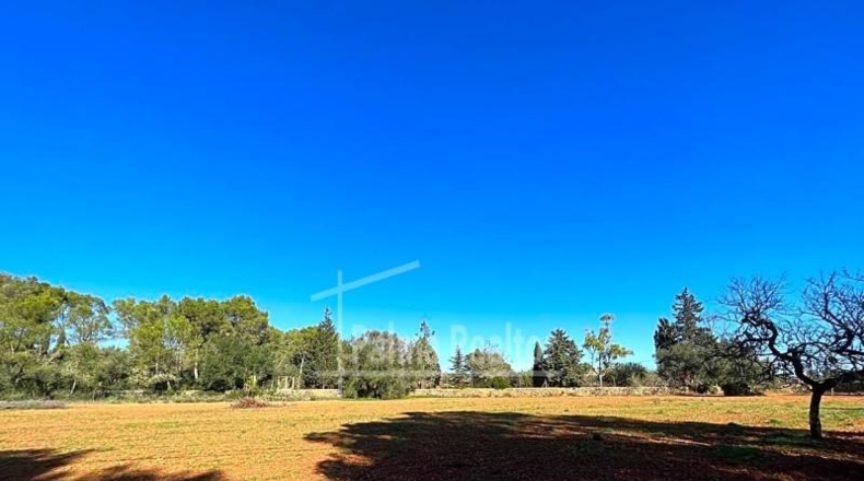 Valencia - Albaida - 16229m2