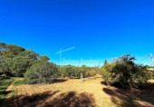 Terreno no urbanizable en venta en la España, Algaida, ref: TR396908 foto