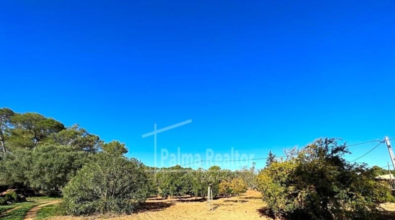 Valencia - Albaida - 16229m2
