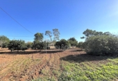 Terreno no urbanizable en venta en la España, Algaida, ref: TR396908 foto
