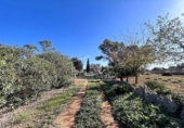 Terreno no urbanizable en venta en la España, Algaida, ref: TR396908 foto