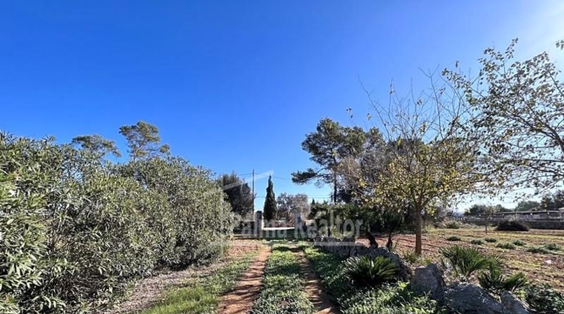 Valencia - Albaida - 16229m2