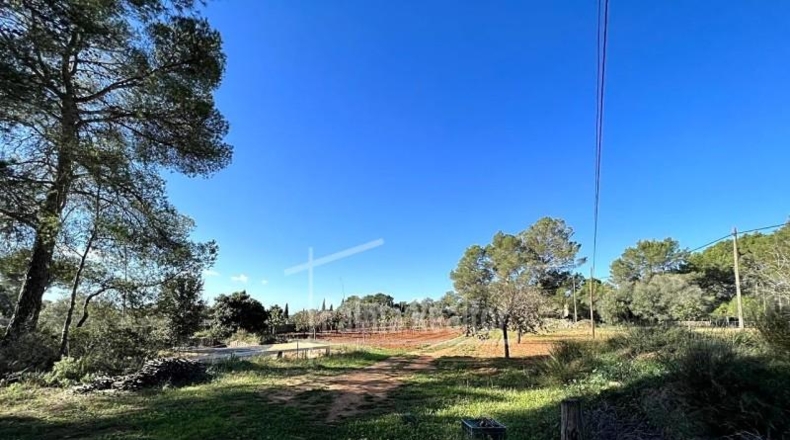 Valencia - Albaida - 16229m2