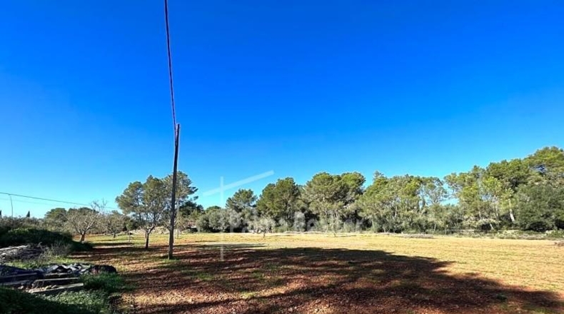 Valencia - Albaida - 16229m2