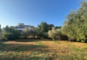 Detached villa with land for sale on España, Vacarisses, ref: TR314616 photo