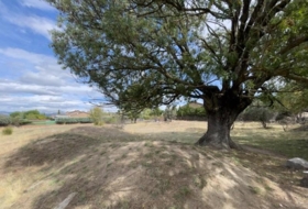 Galapagar 3370&nbsp;m²